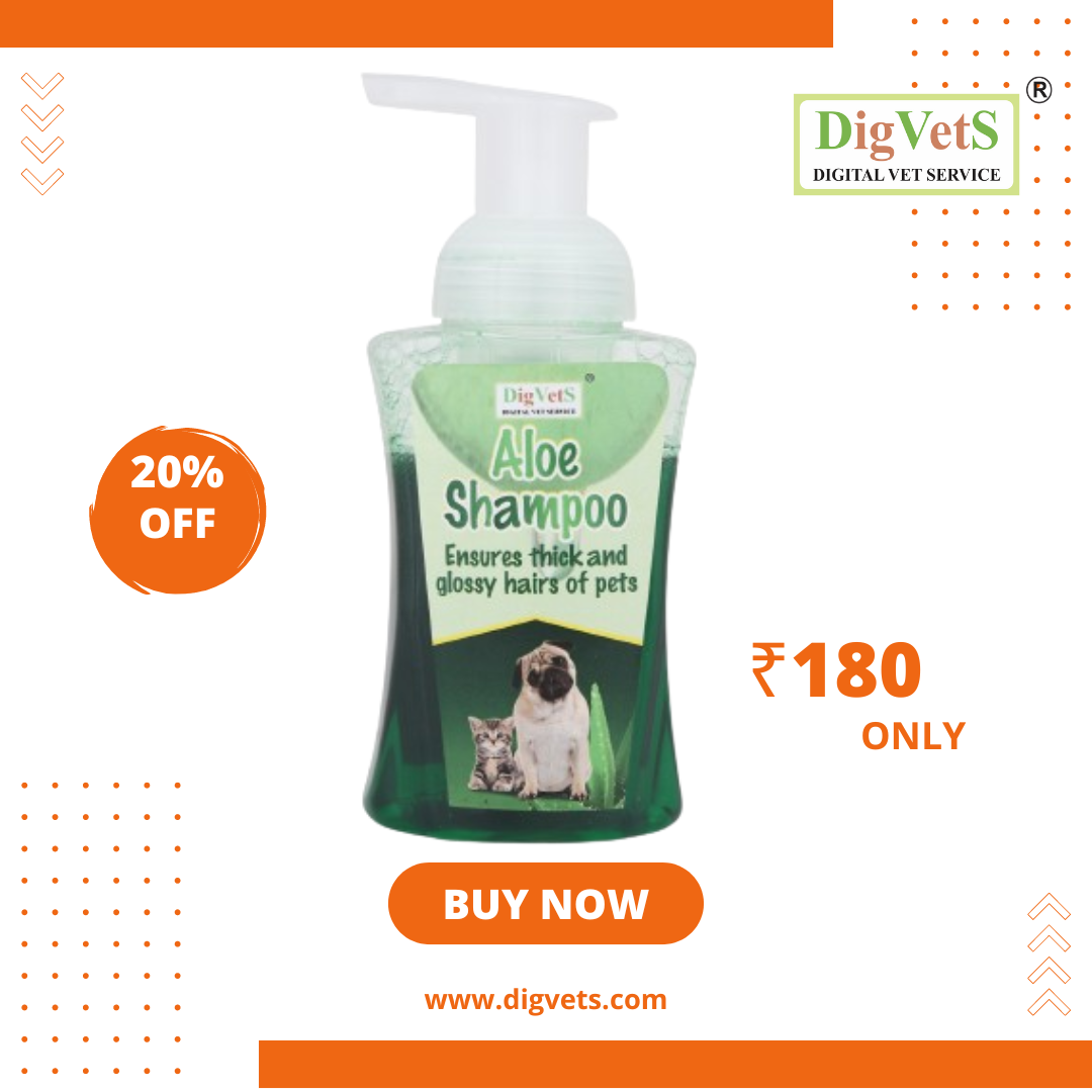 DigVetS Aloe Vera Shampoo for Pets
