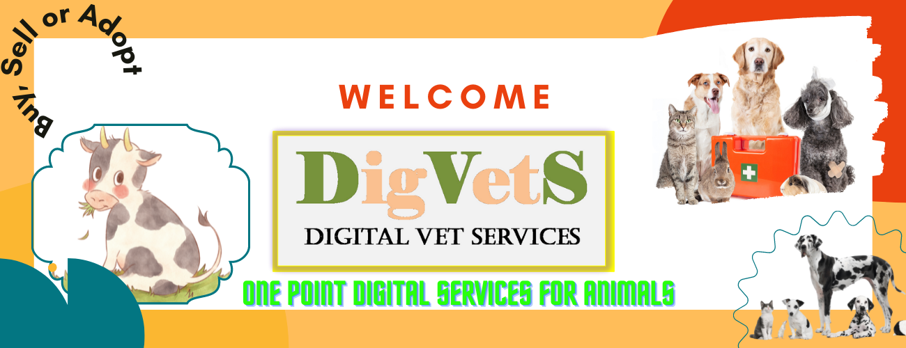 One Point Digital Services for Animals 